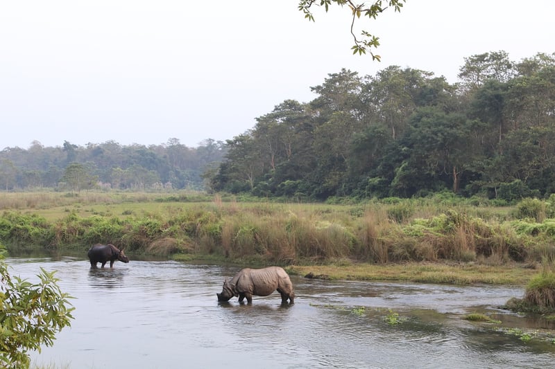 Taman Negara National Park